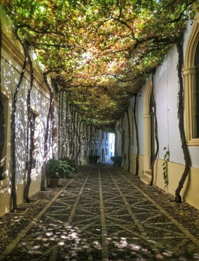 بيت للعطل Mariniguez Apartament. جيريز